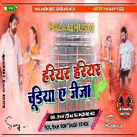 Hariyar Hariya Chudiya E Jija Pawan Singh 2022 BolBam Song  MalaaiMusicChiraiGaonDomanpur